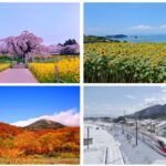 Four SEasons in Japan