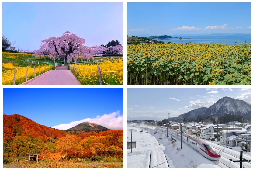 Four SEasons in Japan