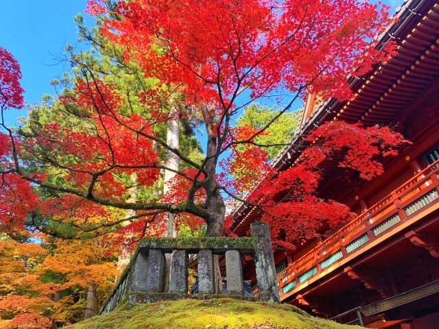 Koyo à Nikko
