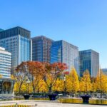 Koyp in Tokyo