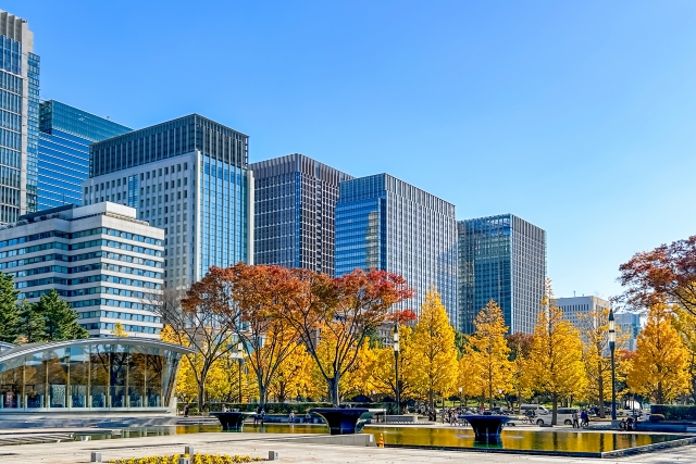 Koyp in Tokyo