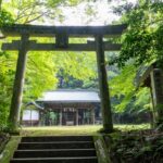 A Shinto shrine surrounded by a sacred forest in Japan
