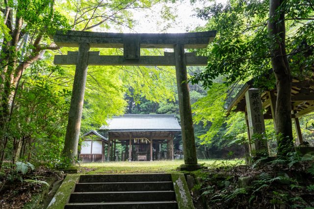 A Shinto shrine surrounded by a sacred forest in Japan